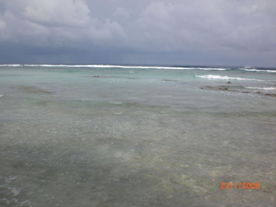 Strand (Ozeanseite) Canareef Resort Maldives