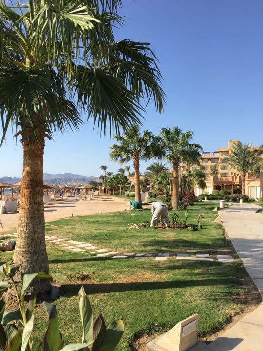 Außenansicht Shams Prestige Abu Soma-Adults Only