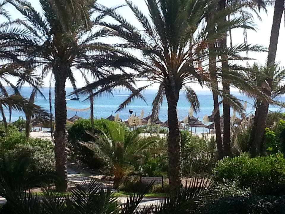 Blick vom Zimmer El Ksar Resort & Thalasso