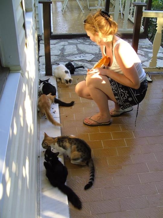 Auch für Katzenliebhaber Clover Magic Nova Beach