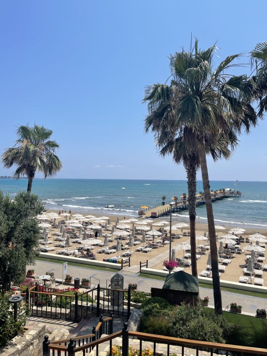 Strand Arum Barut Collection