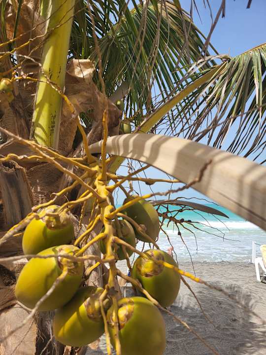 Strand Hotel Riu Karamboa