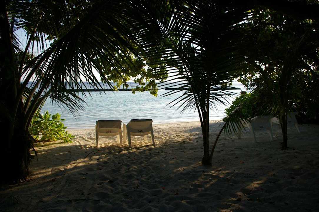 Blick von der Terrasse Kuramathi Maldives