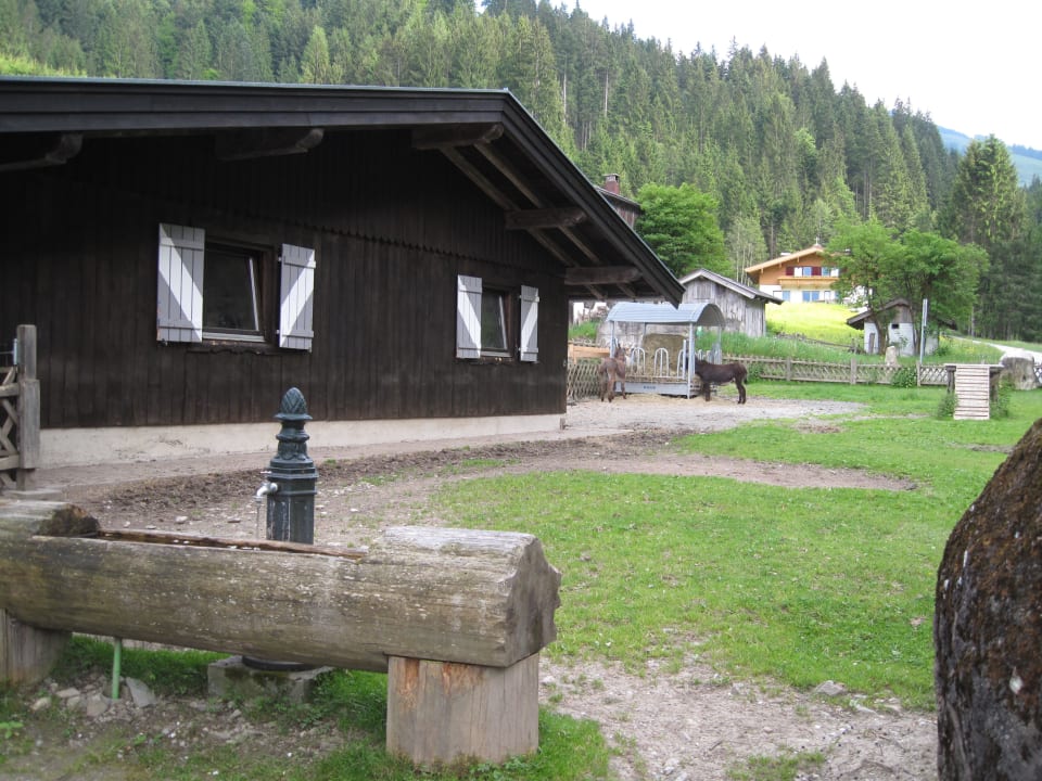 Landhof Landhof Ellmau