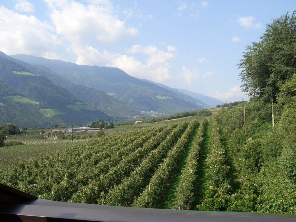 Blick von der Terrasse Pension Fallrohrhof