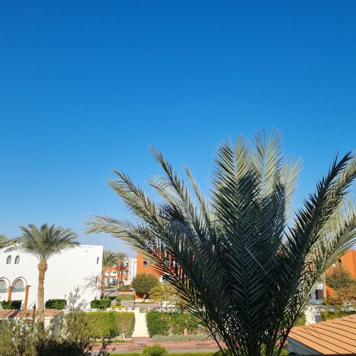 Ausblick Pickalbatros Dana Beach Resort - Hurghada