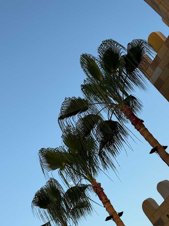 Außenansicht Pickalbatros Aqua Park Resort - Sharm El Sheikh