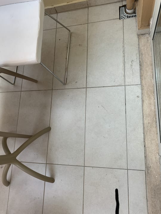 Zimmer AQI Pegasos World