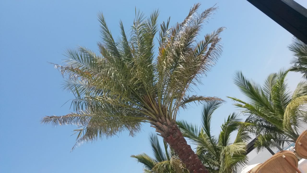 Ausblick DoubleTree by Hilton Resort & Spa Marjan Island