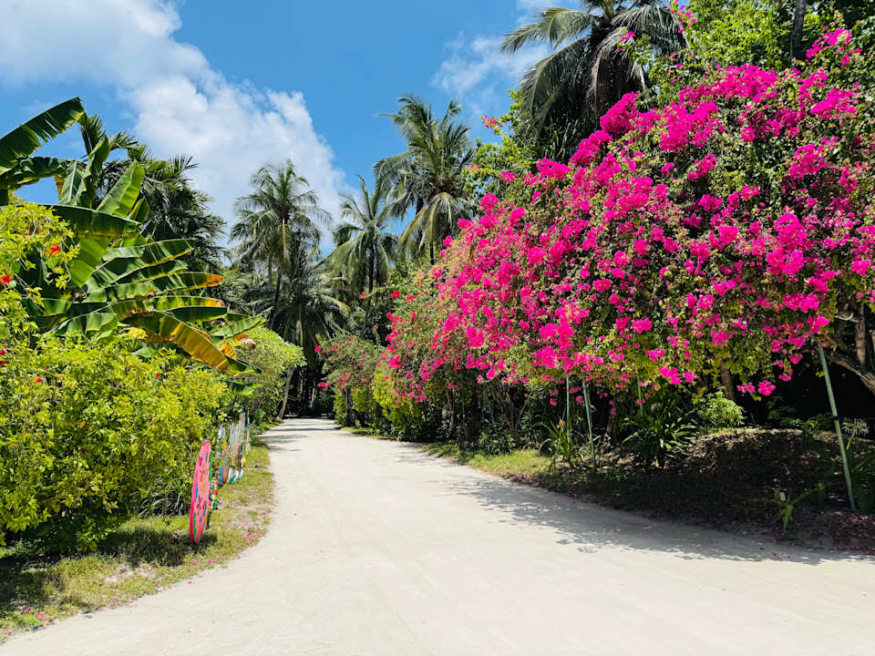 Außenansicht Kuramathi Maldives