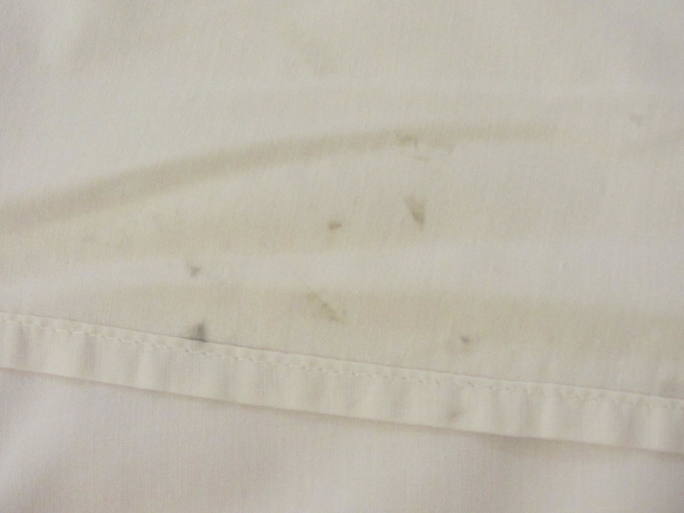 Bettlaken Alassio Hotel and Thalasso