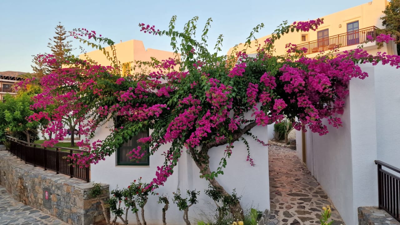 Zimmer Creta Maris Resort