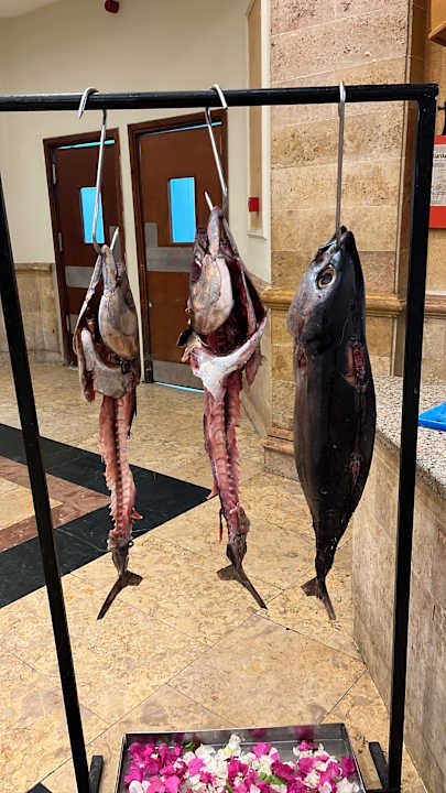 Gastro Shams Safaga Resort