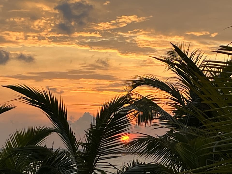 Ausblick Hotel Riu Palace Maldivas