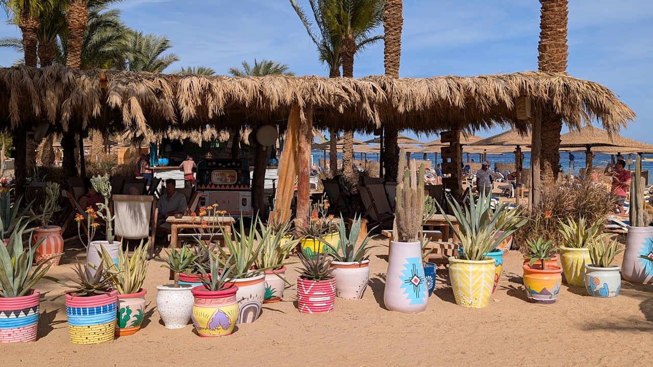 Gastro Fort Arabesque Resort, Spa & Villas