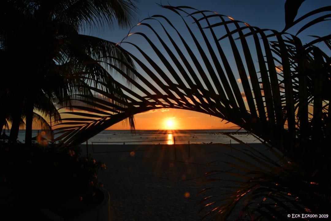 Gartenanlage Hotel Villas Caroline