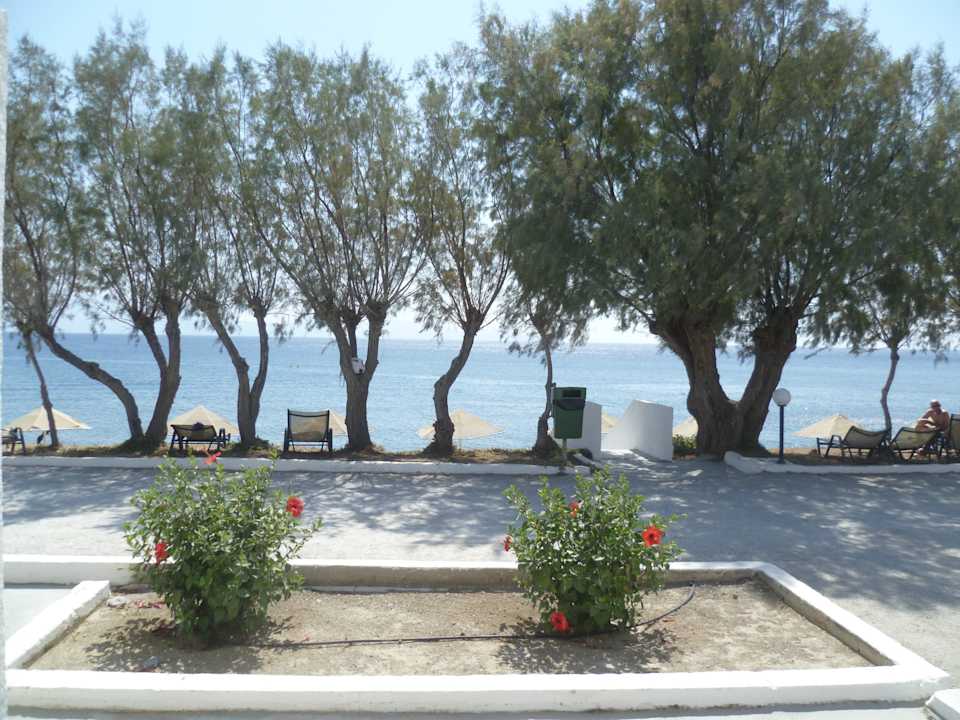 Ausblick aus dem Bungalow Dimitra Beach Hotel & Suites