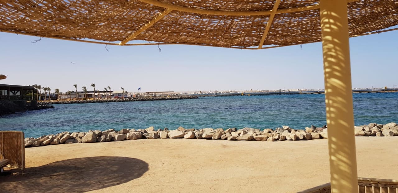 Ausblick Desert Rose