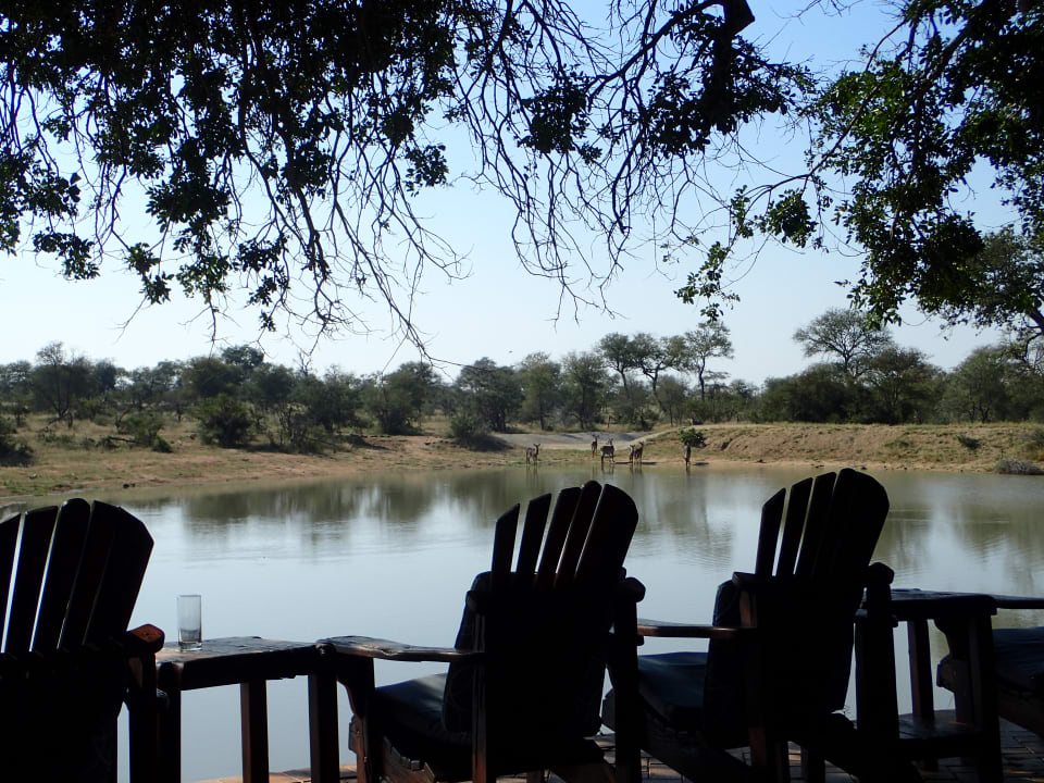 Gartenanlage Gomo Gomo Game Lodge