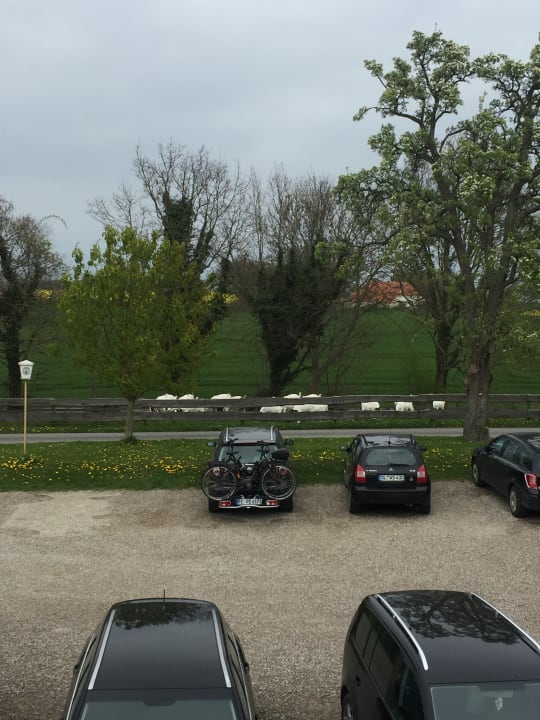 Gartenanlage Landhaus Ostseeblick