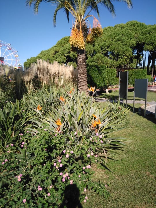 Gartenanlage Sueno Hotels Deluxe Belek