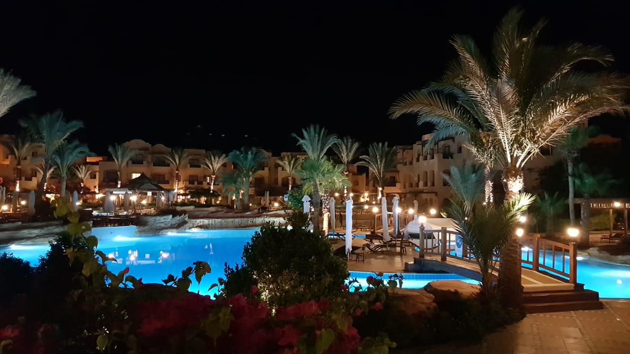 Pool Steigenberger Coraya Beach - Adults only