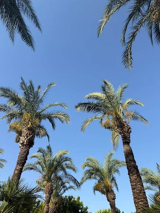 Pool Sunis Kumköy Beach Resort Hotel & Spa