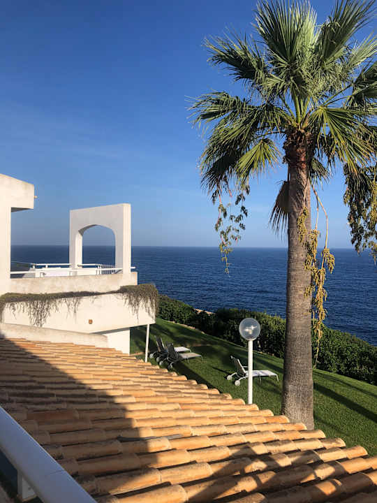 Zimmer blau punta reina