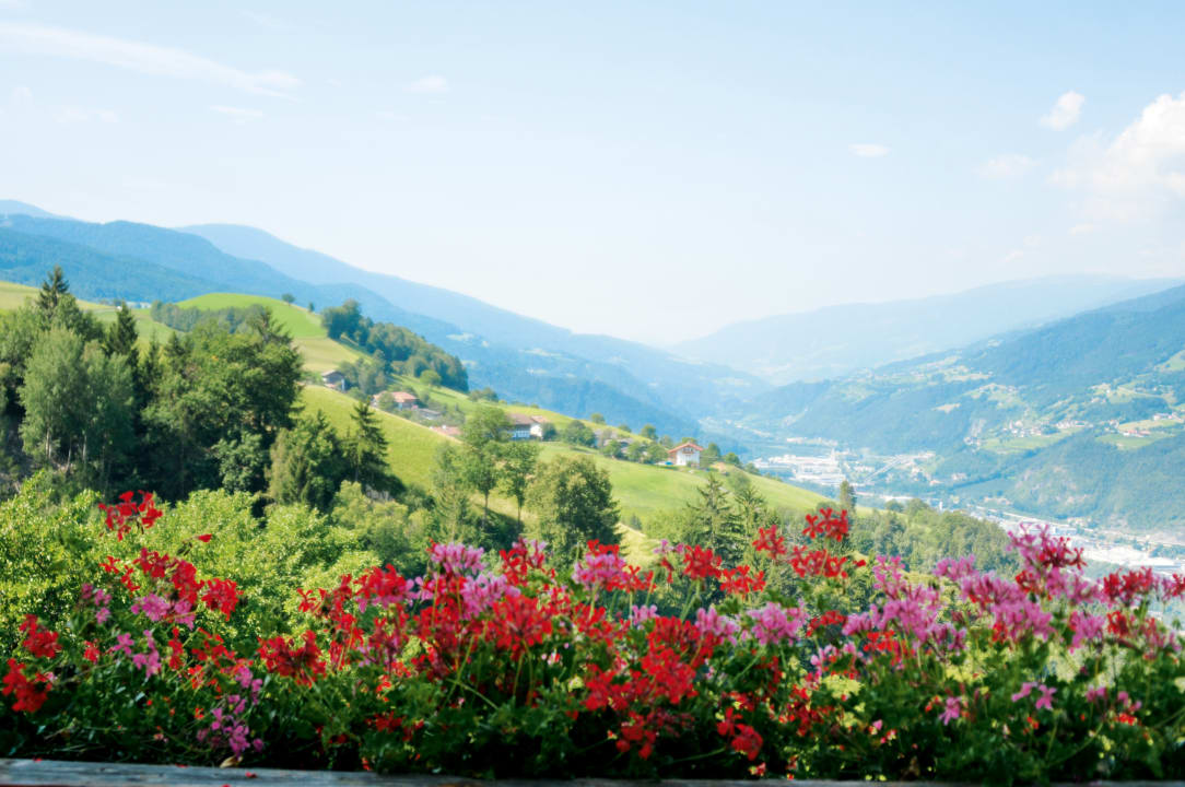 Ausblick Hotel Torgglerhof
