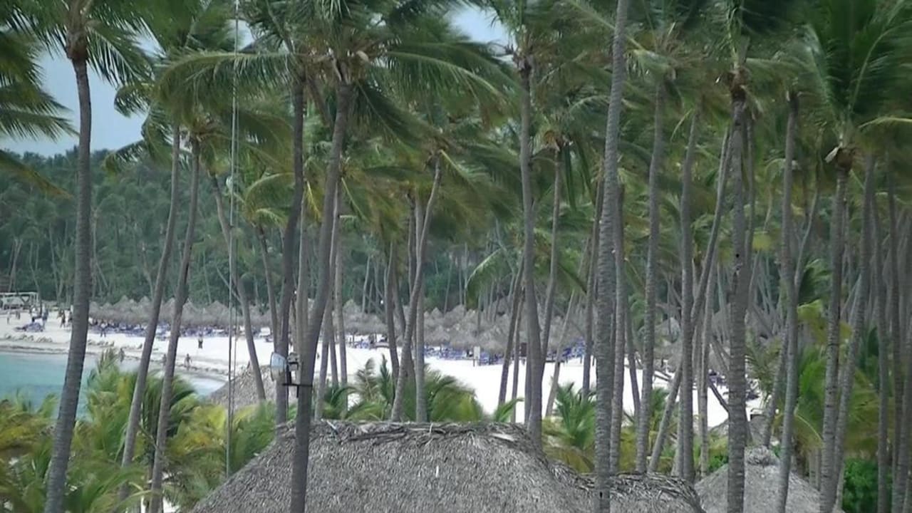 Now Larimar Dreams Royal Beach Punta Cana