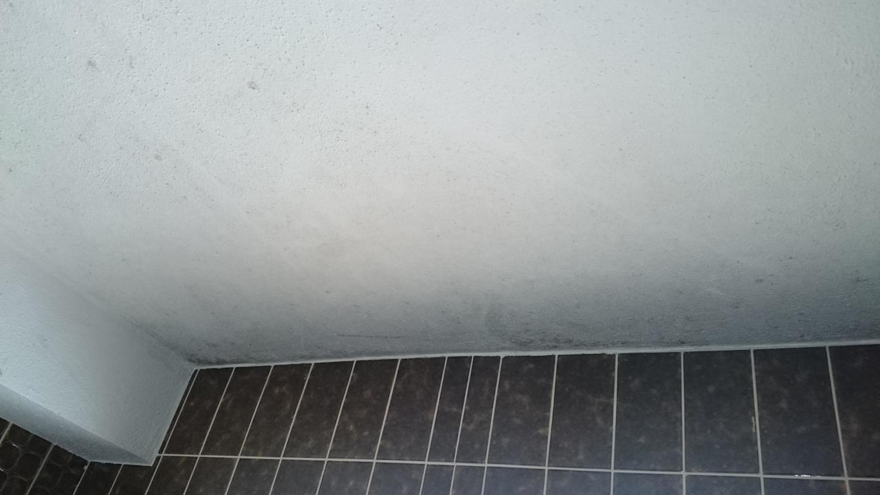 Schimmel Decke Bad Gasthof-Hotel Krone