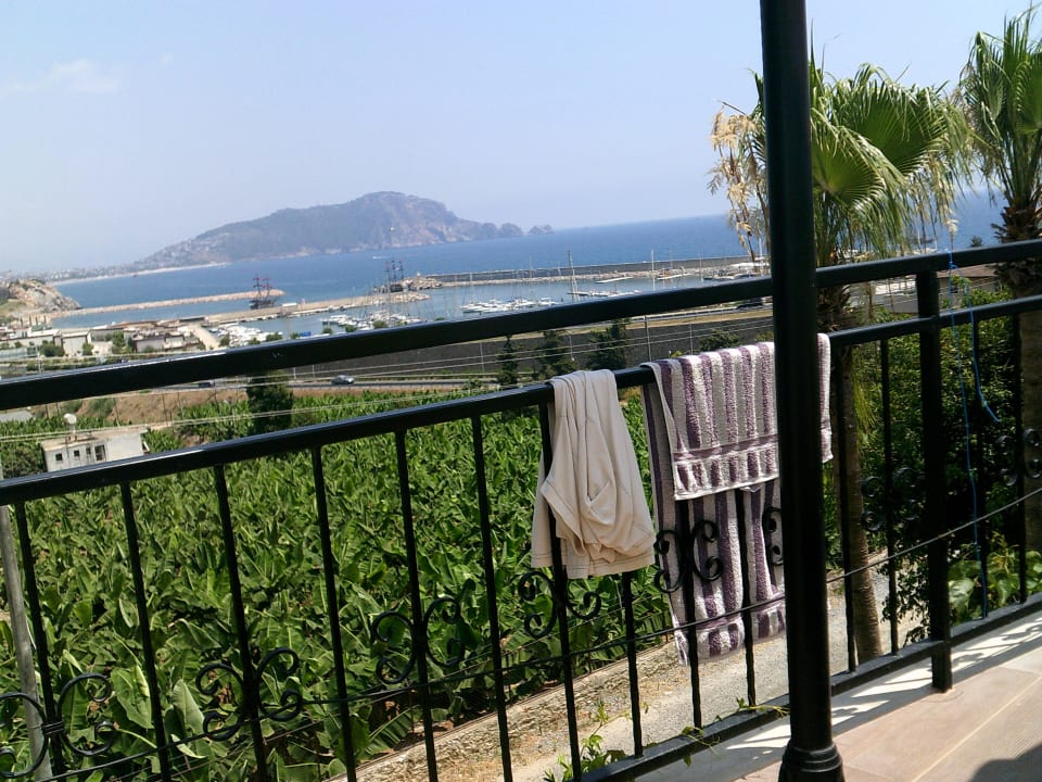 Ausblick auf die Bananen und das Meer La Finca Marina