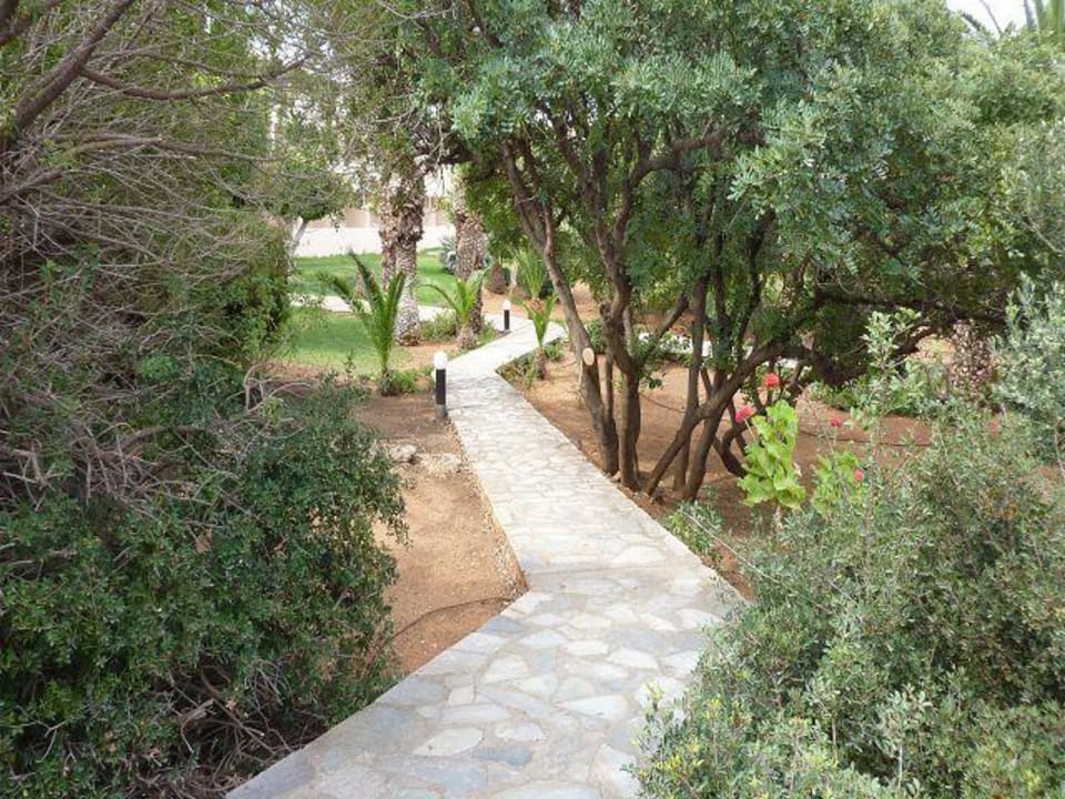 Schön angelegte Wege in der Anlage Lyttos Beach Hotel