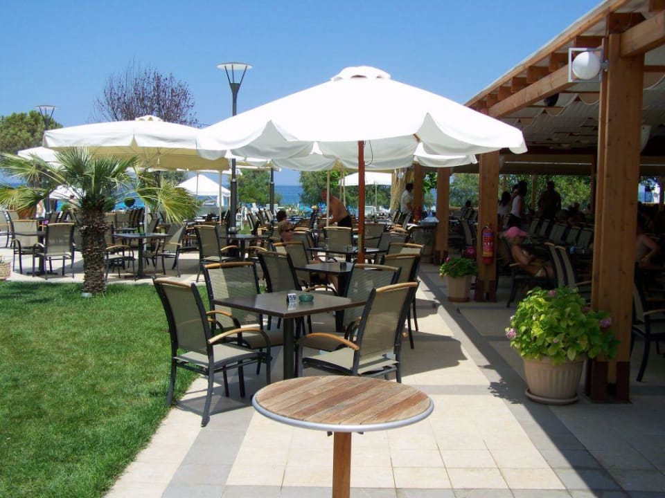 Poolbar alltoura Club Hotel Poseidon Palace