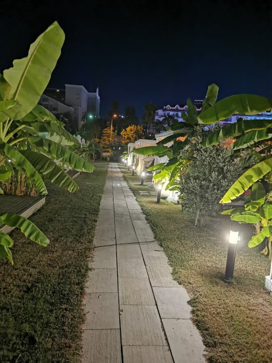 Gartenanlage Hotel Novum Garden Side