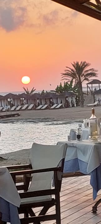 Gastro TUI BLUE Pioneer Beach