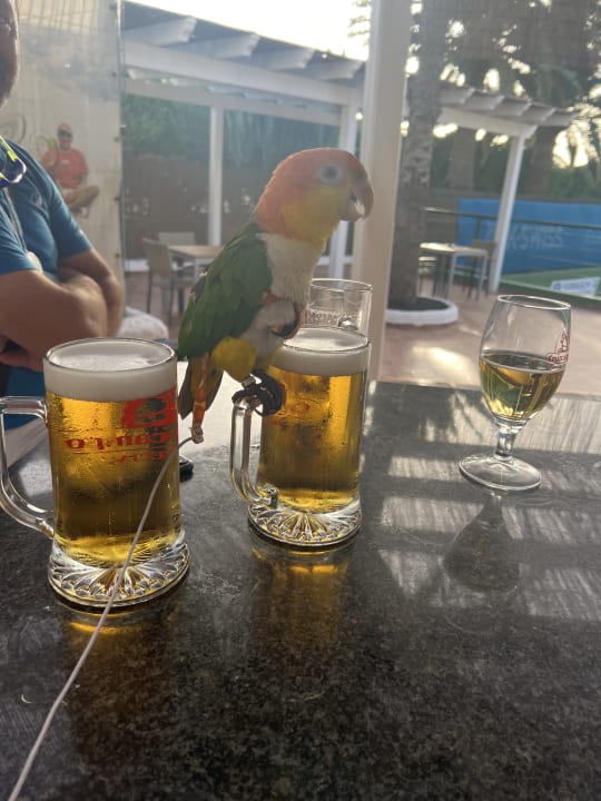 Gastro ROBINSON JANDIA PLAYA