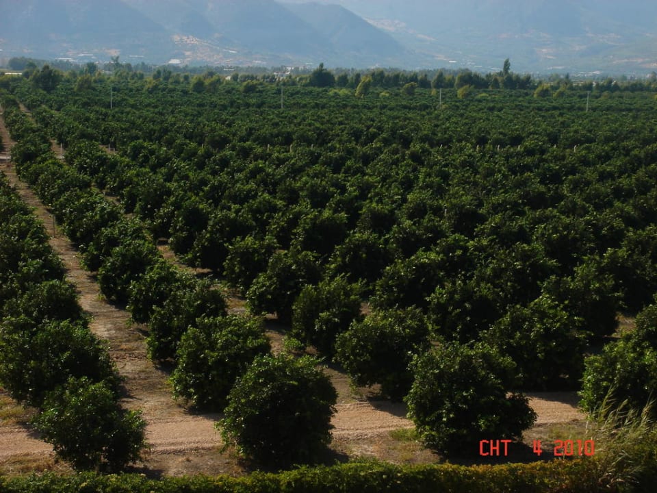 Widok z bolkonu Hotel Presa di Finica