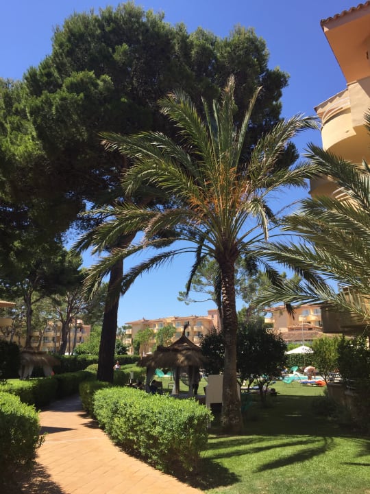 Gartenanlage Prinsotel La Pineda