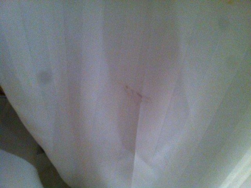 Duschvorhangbeschmutzung acom Hotel München