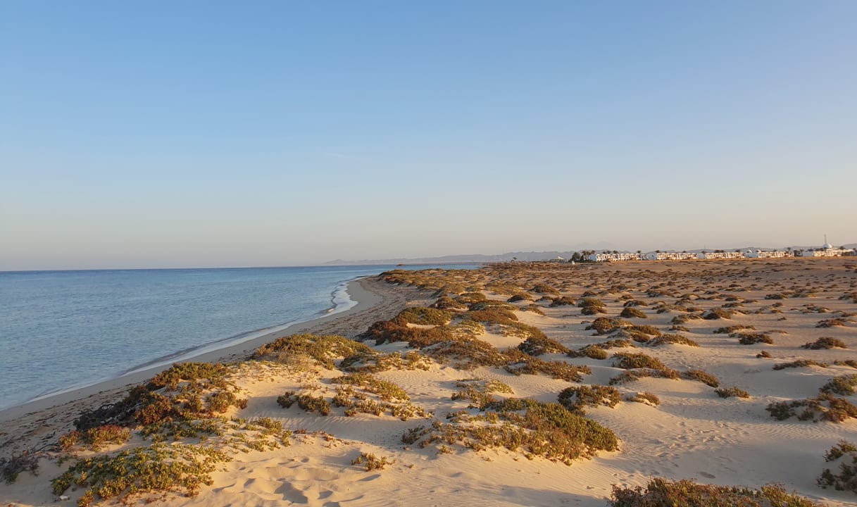 Strand Hotel Gorgonia Beach Resort