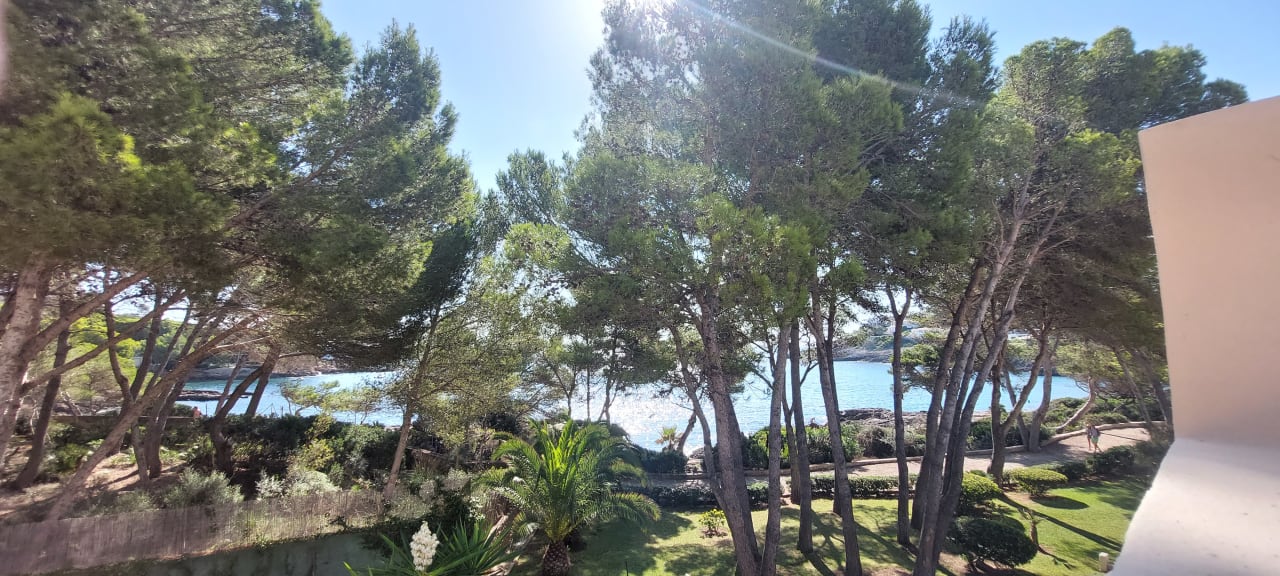 Ausblick Iberostar Waves Pinos Park