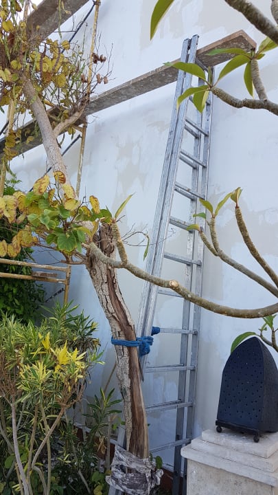 Außenansicht Ghazala Gardens