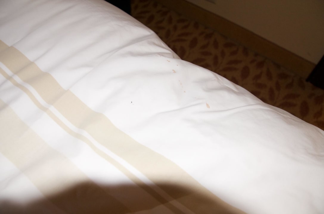 Flecken The American Hotel Atlanta Downtown - a Doubletree by Hilton