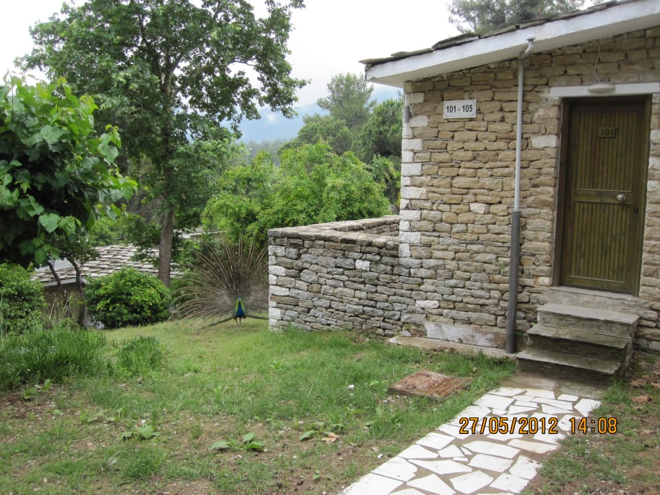 Our bungalow no. 105 Hotel Makryammos Bungalows