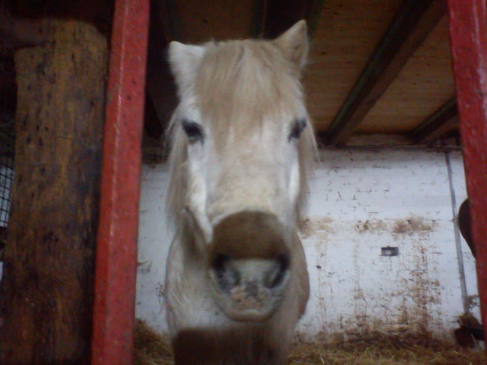 Hab hunger Ferienhof Upwarf