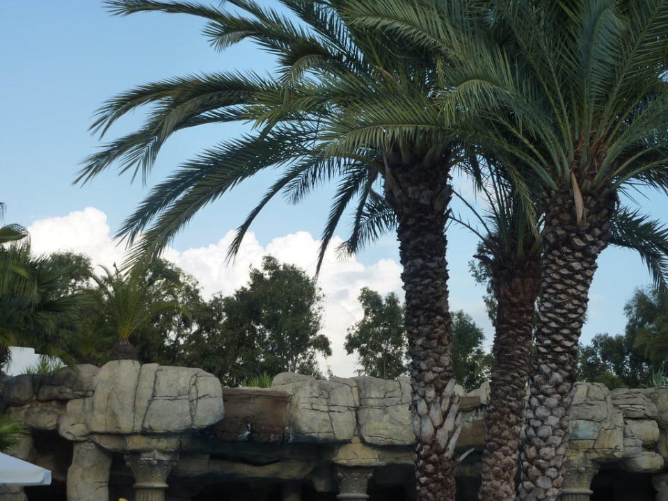 Schön Monachus Family Resort Sorgun