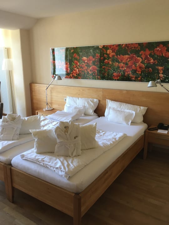 Zimmer Bio Thermalhotel Falkenhof