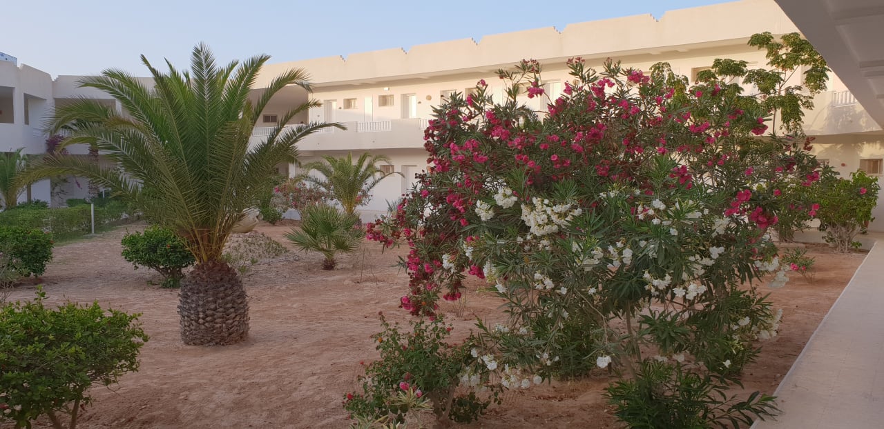 Gartenanlage Djerba Sun Beach Hotel & Spa