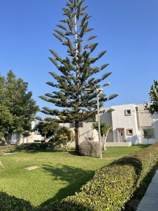 Außenansicht Ilios K Village Resort